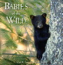 Babies of the Wild cover