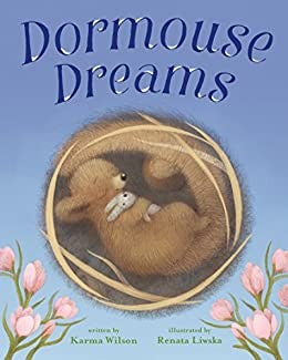 Dormouse Dreams cover