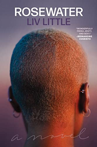 Rosewater: A Novel cover
