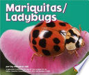 Mariquitas/ladybugs (Pebble Plus Bilingual) (Spanish and English Edition)