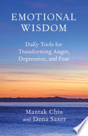 Emotional Wisdom: Daily Tools for Transforming Anger, Depression, and Fear cover