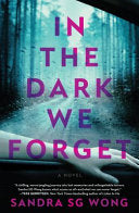 In the Dark We Forget: A Novel cover