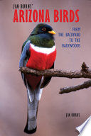 Jim Burns' Arizona Birds: From the Backyard to the Backwoods