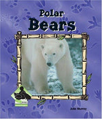 Polar Bears (ANIMAL KINGDOM SET II)
