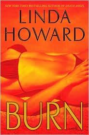Burn: A Novel cover