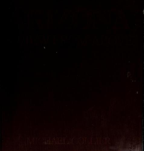 Arizona: A View from Above cover