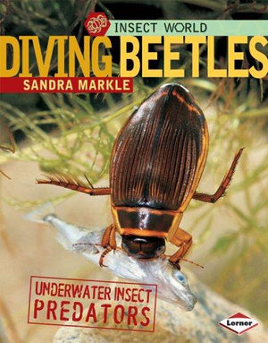 Diving Beetles: Underwater Insect Predators (Insect World)