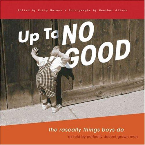 Up to No Good: The Rascally Things Boys Do cover