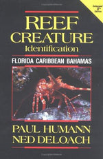 Reef Creature Identification: Florida, Caribbean, Bahamas