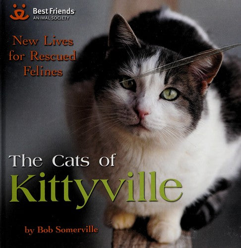 The Cats of Kittyville: New Lives for Rescued Felines cover