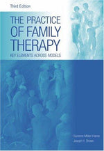 The Practice of Family Therapy: Key Elements Across Models