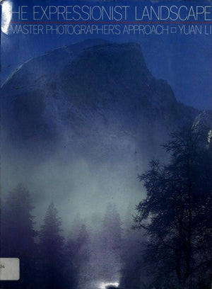The Expressionist Landscape