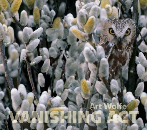Vanishing Act cover
